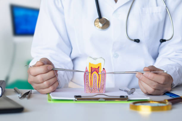 Best After-Hours Dental Trauma Care in Emma, NC